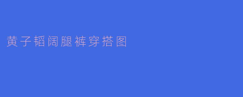 黄子韬阔腿裤穿搭图