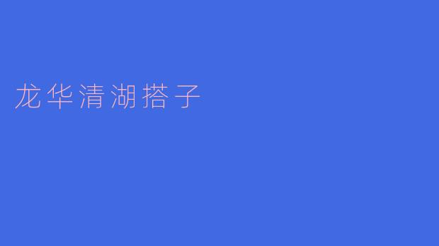 《龙华清湖搭子:都市青年的社交新方式与在地生活探索》