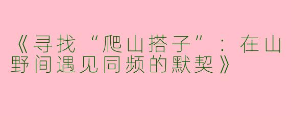 《寻找“爬山搭子”：在山野间遇见同频的默契》