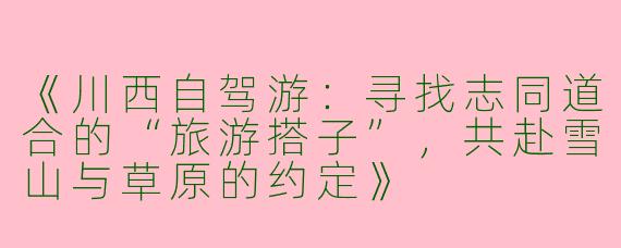 《川西自驾游：寻找志同道合的“旅游搭子”，共赴雪山与草原的约定》