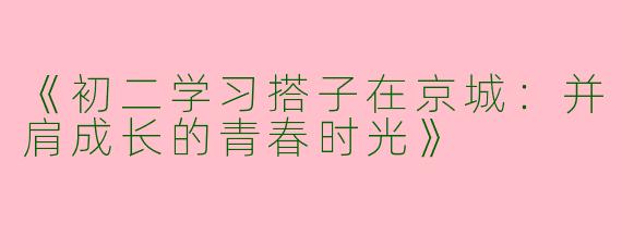 《初二学习搭子在京城：并肩成长的青春时光》