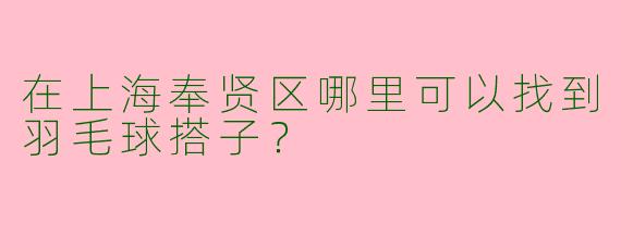 在上海奉贤区哪里可以找到羽毛球搭子？