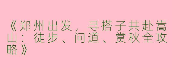 《郑州出发，寻搭子共赴嵩山：徒步、问道、赏秋全攻略》
