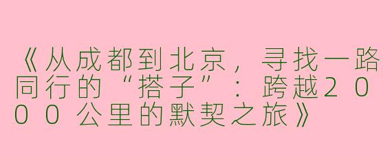 《从成都到北京，寻找一路同行的“搭子”：跨越2000公里的默契之旅》