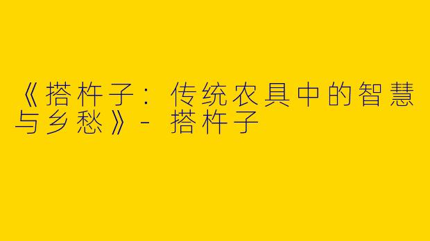《搭杵子：传统农具中的智慧与乡愁》-搭杵子