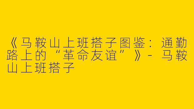 《马鞍山上班搭子图鉴：通勤路上的“革命友谊”》-马鞍山上班搭子