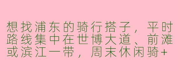想找浦东的骑行搭子，平时路线集中在世博大道、前滩或滨江一带，周末休闲骑+拍照，有同好组队吗？