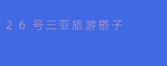 26号三亚旅游搭子