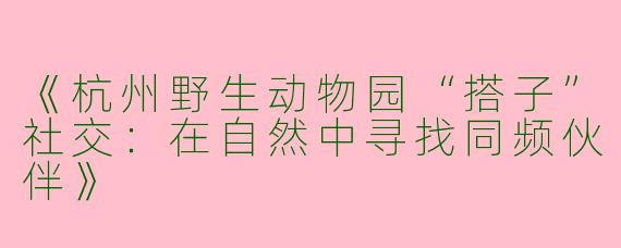 《杭州野生动物园“搭子”社交：在自然中寻找同频伙伴》