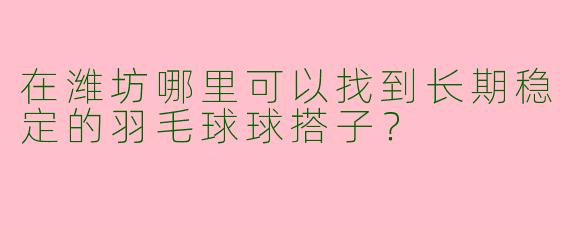 在潍坊哪里可以找到长期稳定的羽毛球球搭子？