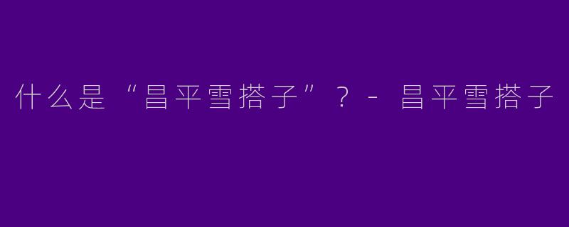 什么是“昌平雪搭子”？-昌平雪搭子