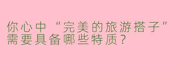 你心中“完美的旅游搭子”需要具备哪些特质？