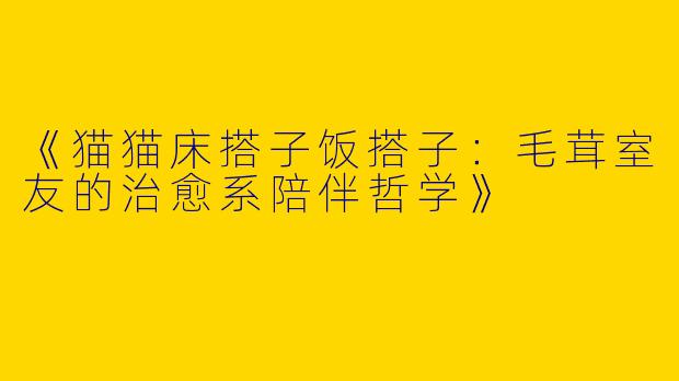 《猫猫床搭子饭搭子：毛茸室友的治愈系陪伴哲学》