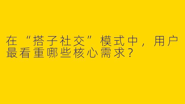 在“搭子社交”模式中，用户最看重哪些核心需求？