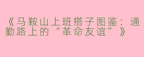 《马鞍山上班搭子图鉴：通勤路上的“革命友谊”》