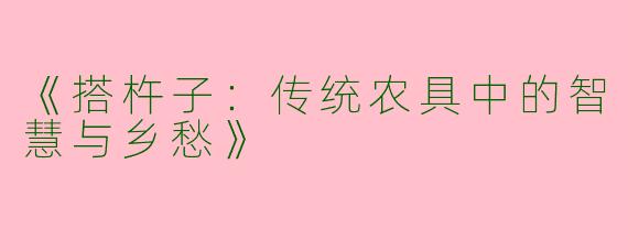 《搭杵子：传统农具中的智慧与乡愁》