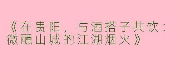 《在贵阳，与酒搭子共饮：微醺山城的江湖烟火》