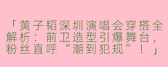「黄子韬深圳演唱会穿搭全解析：前卫造型引爆舞台，粉丝直呼“潮到犯规”！」