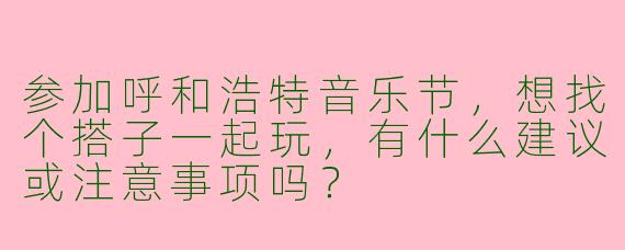 参加呼和浩特音乐节，想找个搭子一起玩，有什么建议或注意事项吗？