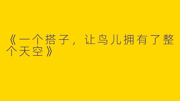 《一个搭子，让鸟儿拥有了整个天空》