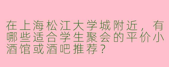在上海松江大学城附近，有哪些适合学生聚会的平价小酒馆或酒吧推荐？