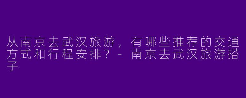 从南京去武汉旅游，有哪些推荐的交通方式和行程安排？-南京去武汉旅游搭子