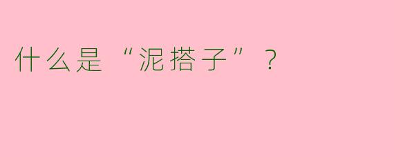 什么是“泥搭子”？