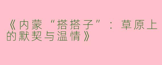《内蒙“搭搭子”：草原上的默契与温情》