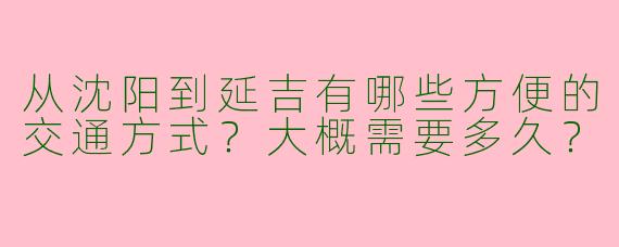 从沈阳到延吉有哪些方便的交通方式？大概需要多久？
