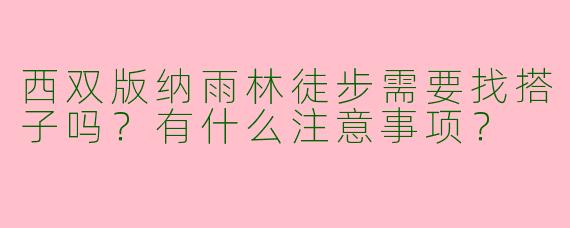 西双版纳雨林徒步需要找搭子吗？有什么注意事项？