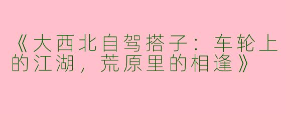 《大西北自驾搭子：车轮上的江湖，荒原里的相逢》
