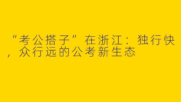 “考公搭子”在浙江：独行快，众行远的公考新生态