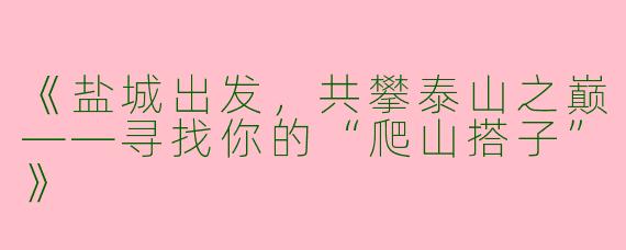 《盐城出发，共攀泰山之巅——寻找你的“爬山搭子”》