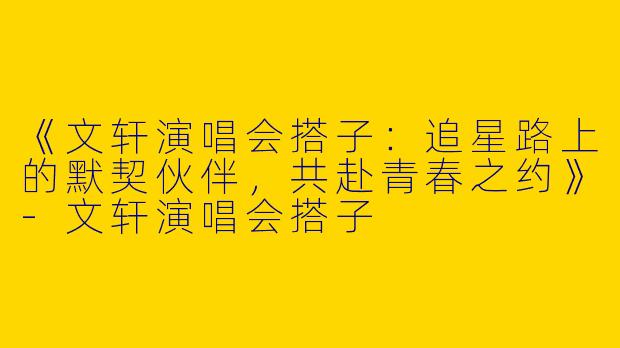 《文轩演唱会搭子：追星路上的默契伙伴，共赴青春之约》-文轩演唱会搭子