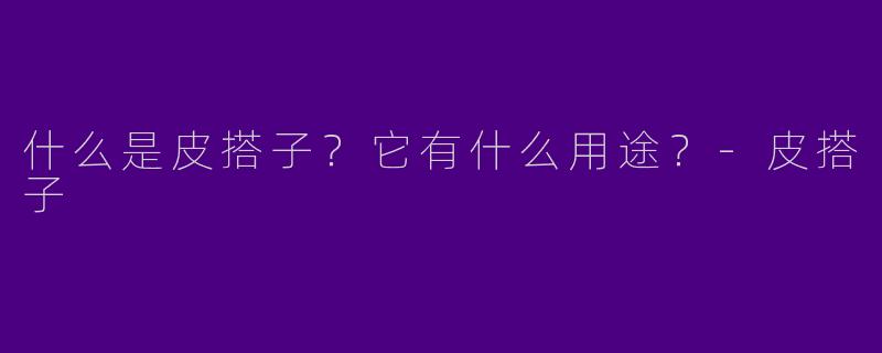 什么是皮搭子？它有什么用途？-皮搭子