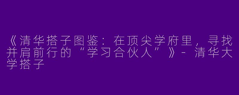 《清华搭子图鉴：在顶尖学府里，寻找并肩前行的“学习合伙人”》-清华大学搭子