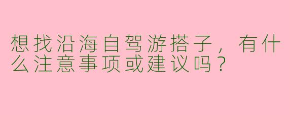 想找沿海自驾游搭子，有什么注意事项或建议吗？