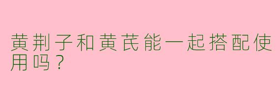 黄荆子和黄芪能一起搭配使用吗？