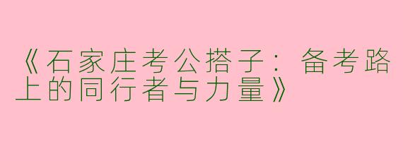 《石家庄考公搭子：备考路上的同行者与力量》