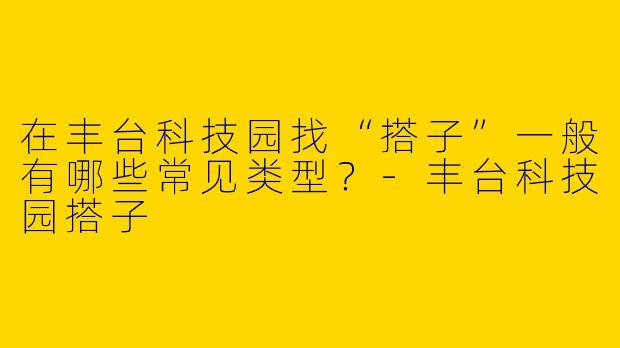 在丰台科技园找“搭子”一般有哪些常见类型？-丰台科技园搭子