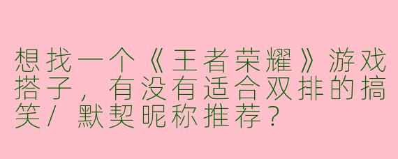 想找一个《王者荣耀》游戏搭子，有没有适合双排的搞笑/默契昵称推荐？