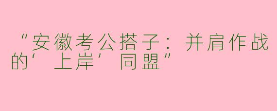 “安徽考公搭子：并肩作战的‘上岸’同盟”