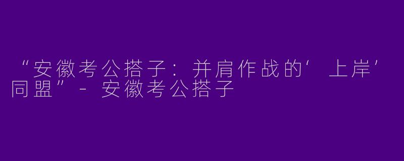 “安徽考公搭子：并肩作战的‘上岸’同盟”-安徽考公搭子