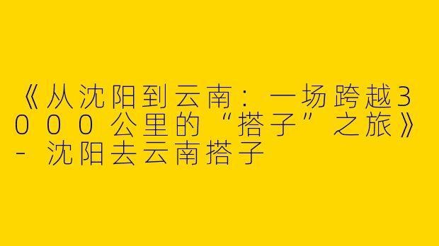 《从沈阳到云南：一场跨越3000公里的“搭子”之旅》-沈阳去云南搭子