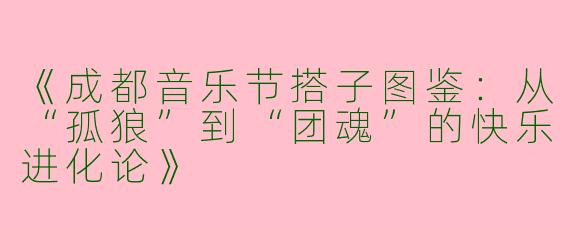 《成都音乐节搭子图鉴：从“孤狼”到“团魂”的快乐进化论》