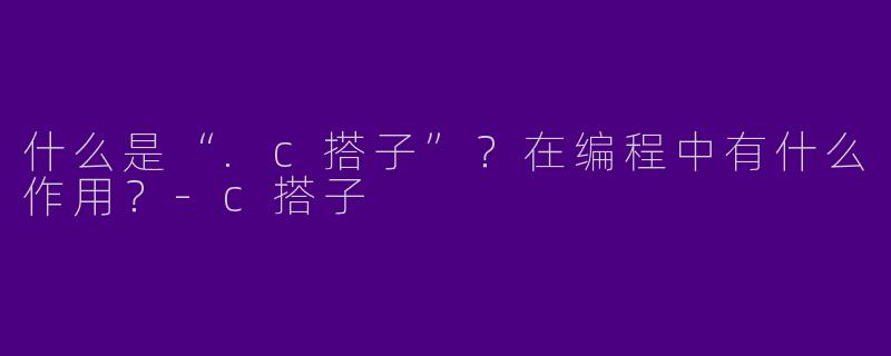什么是“.c搭子”？在编程中有什么作用？-c搭子