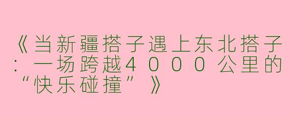 《当新疆搭子遇上东北搭子：一场跨越4000公里的“快乐碰撞”》
