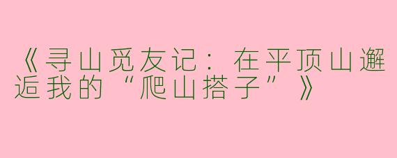 《寻山觅友记：在平顶山邂逅我的“爬山搭子”》