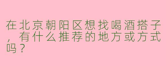 在北京朝阳区想找喝酒搭子，有什么推荐的地方或方式吗？