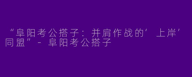 “阜阳考公搭子：并肩作战的‘上岸’同盟”-阜阳考公搭子